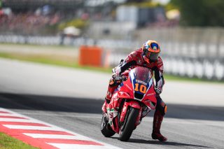 RD15_Catalunya_Marini_2025-08436